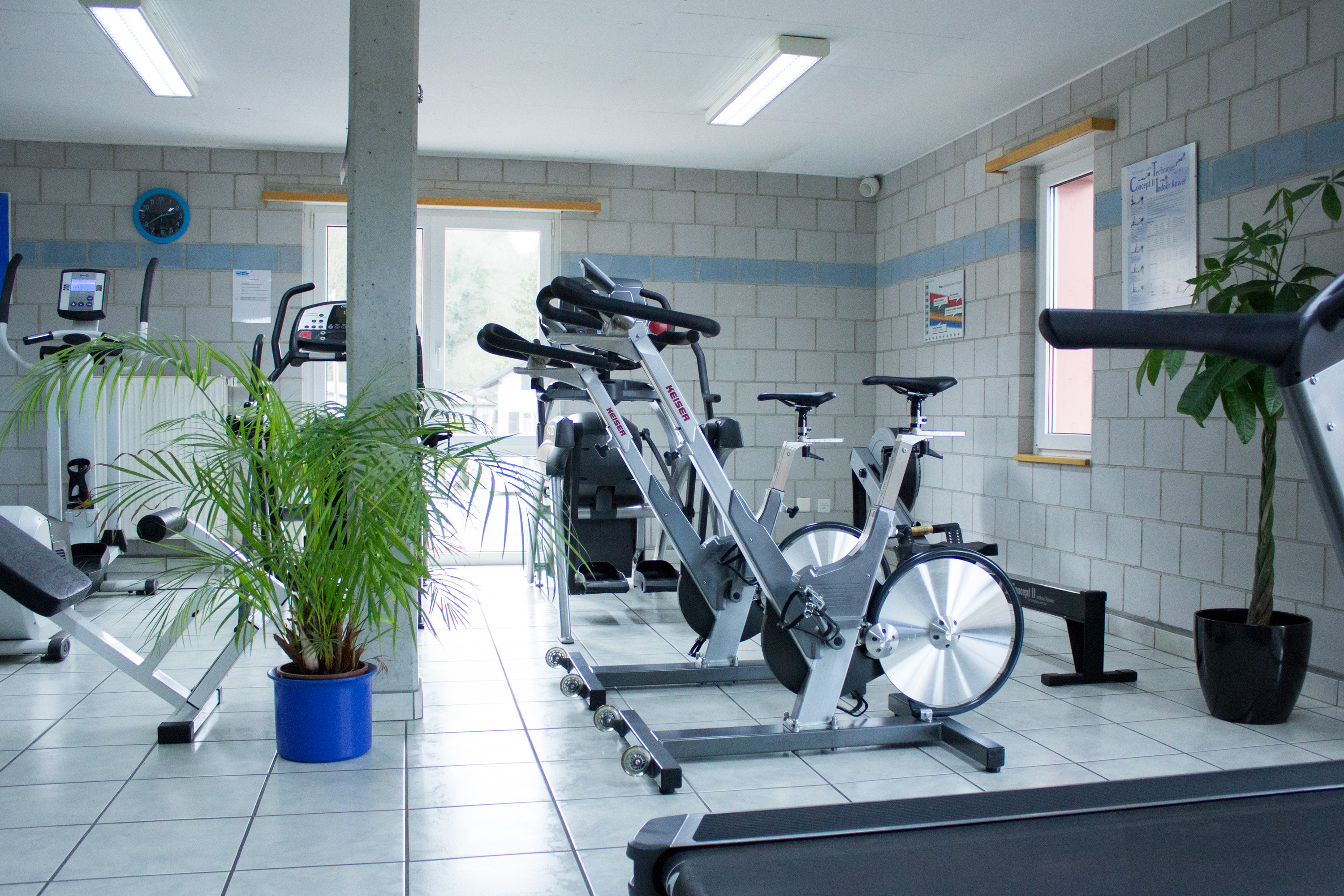 salle de cardio, tapis de course et vélos